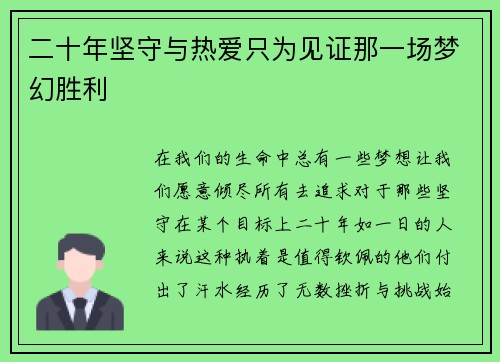 二十年坚守与热爱只为见证那一场梦幻胜利